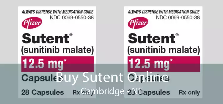 Buy Sutent Online Cambridge - NE