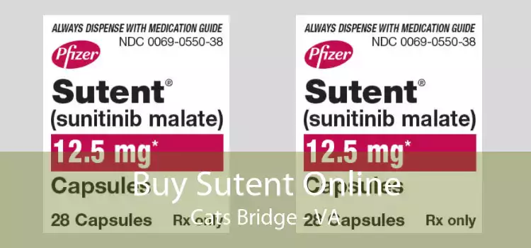 Buy Sutent Online Cats Bridge - VA